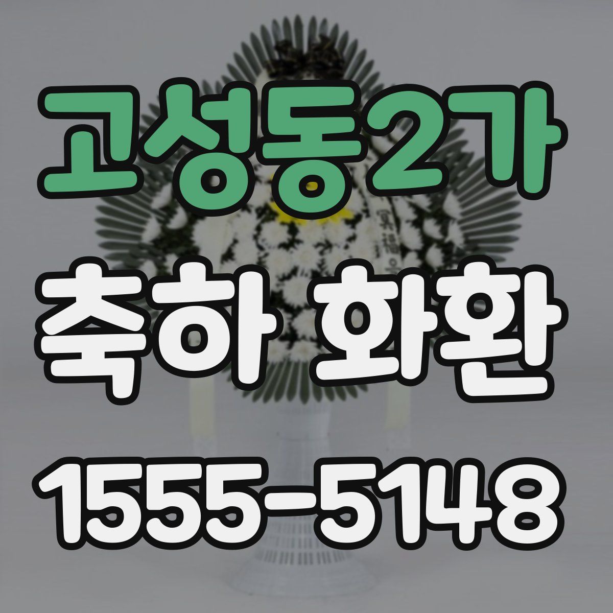 고성동2가 축하 화환