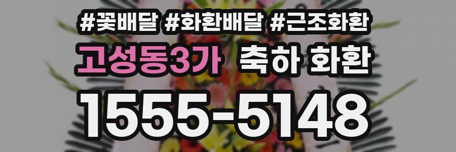 고성동3가 축하 화환