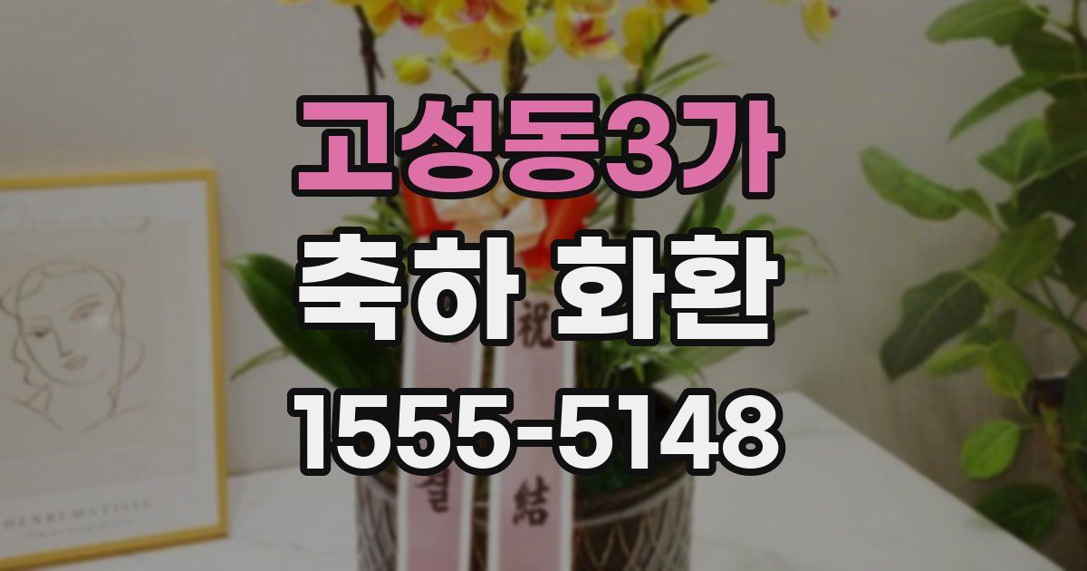 고성동3가 축하 화환