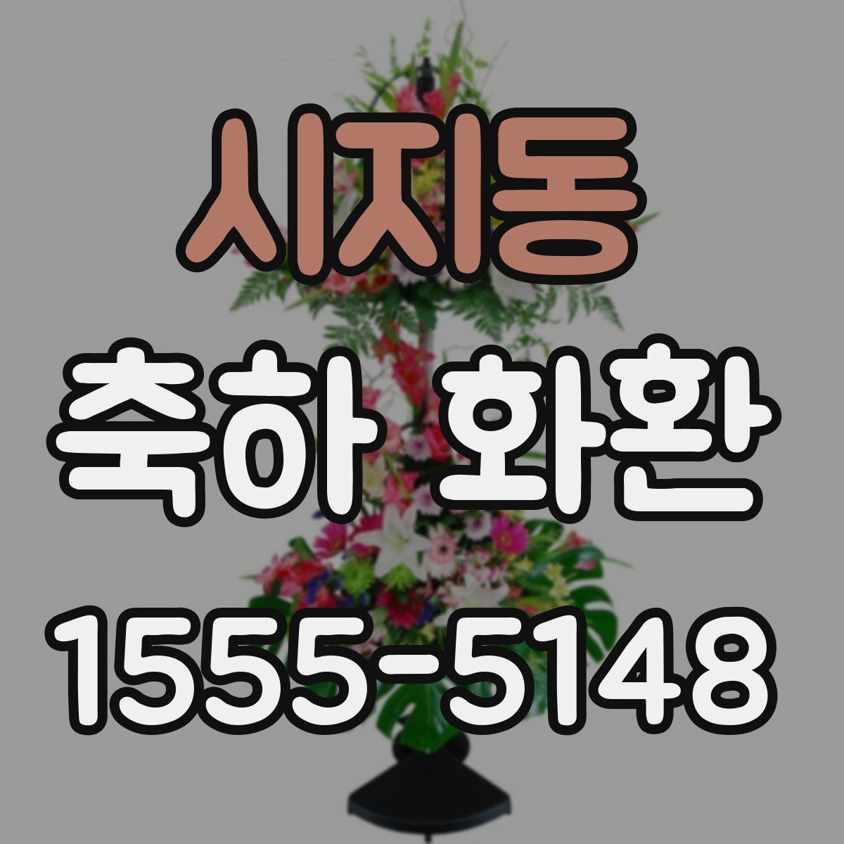 시지동 축하 화환