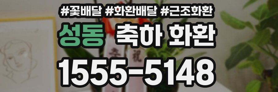 성동 축하 화환