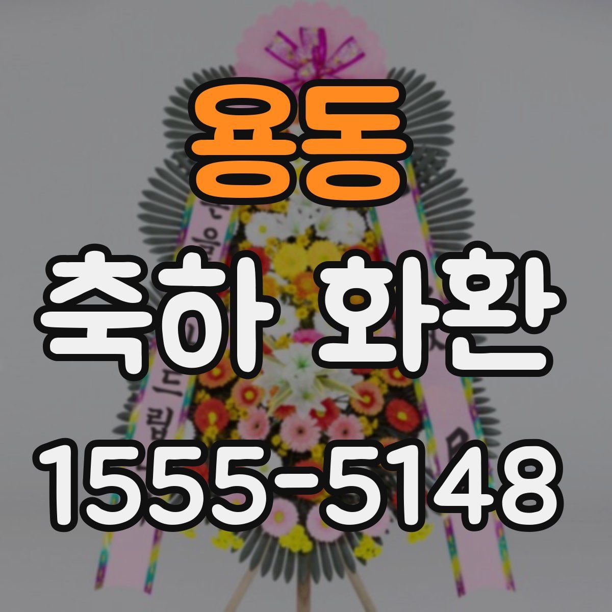 용동 축하 화환