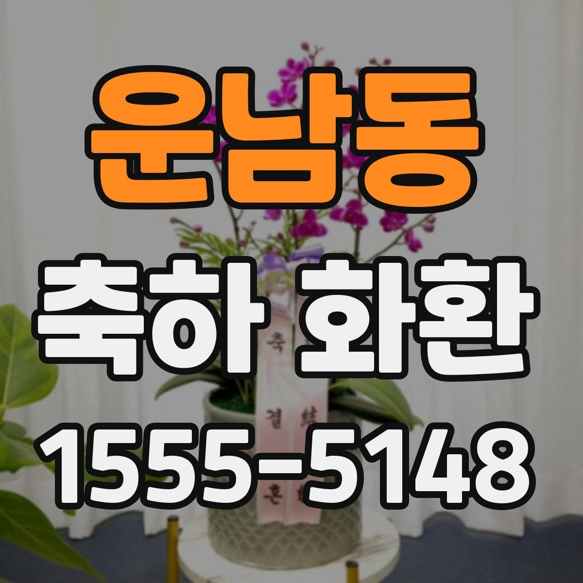 운남동 축하 화환