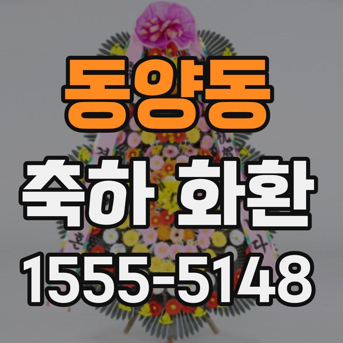 동양동 축하 화환
