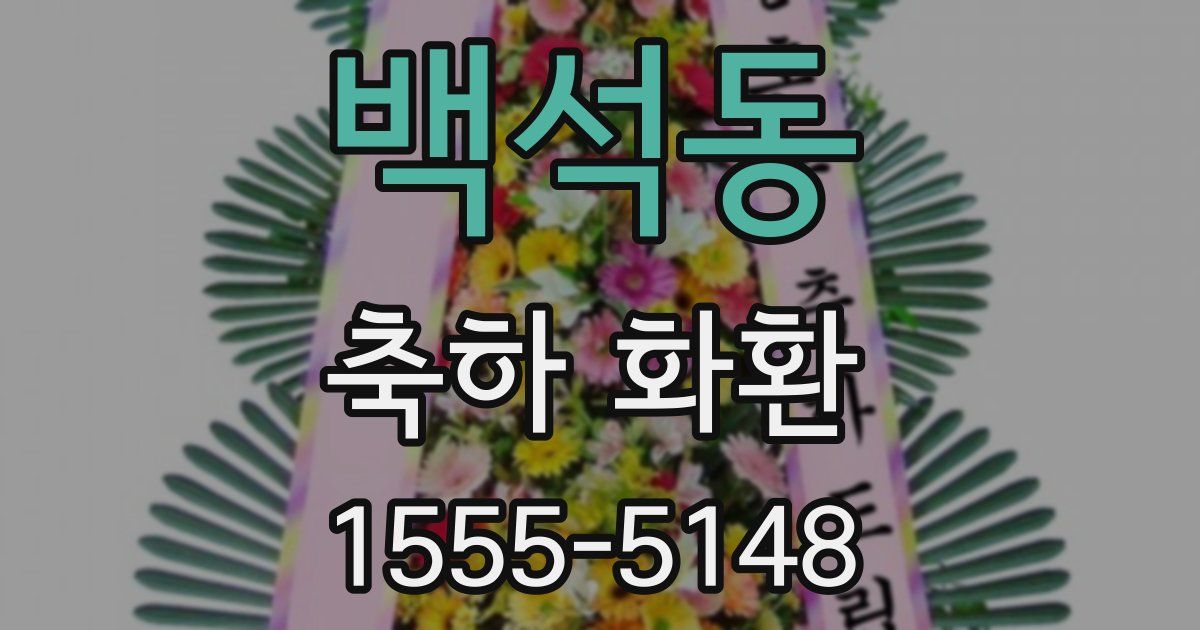 백석동 축하 화환