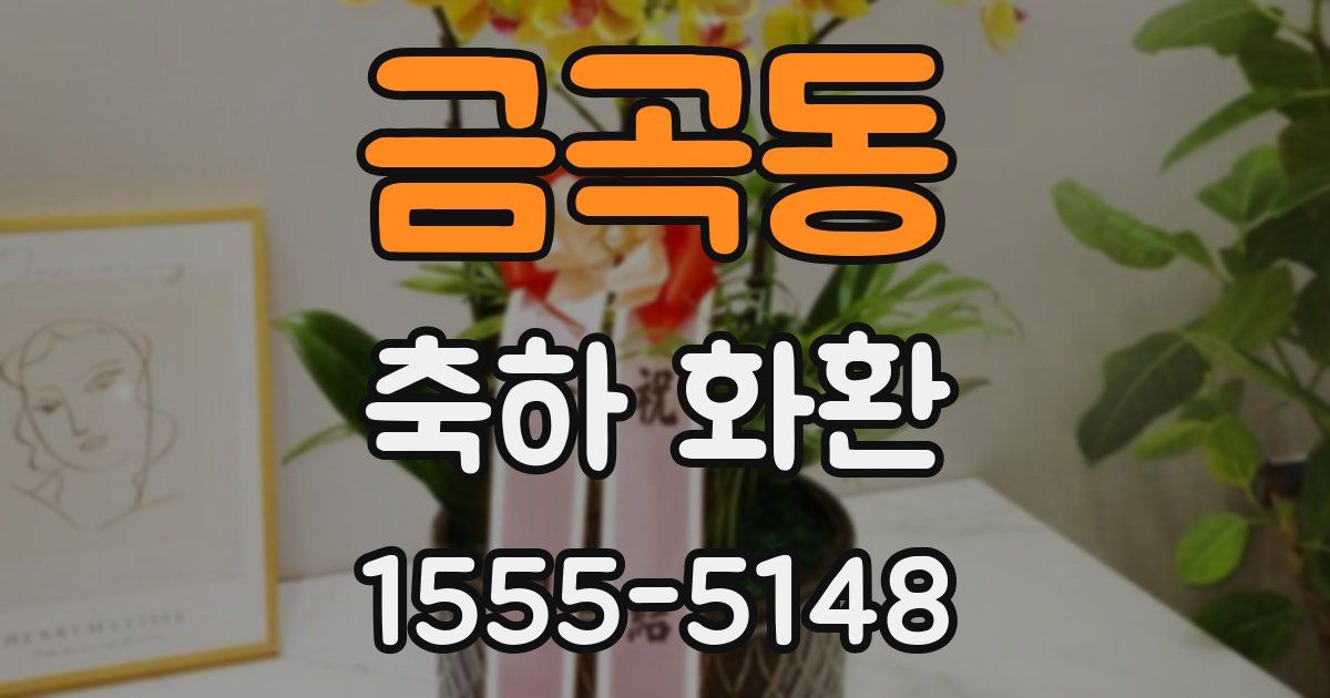 금곡동 축하 화환