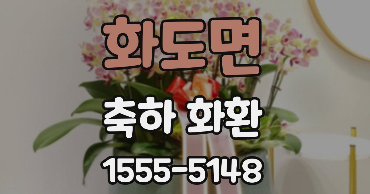 화도면 축하 화환