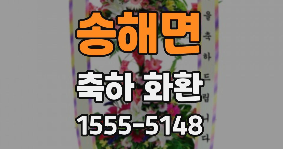 송해면 축하 화환