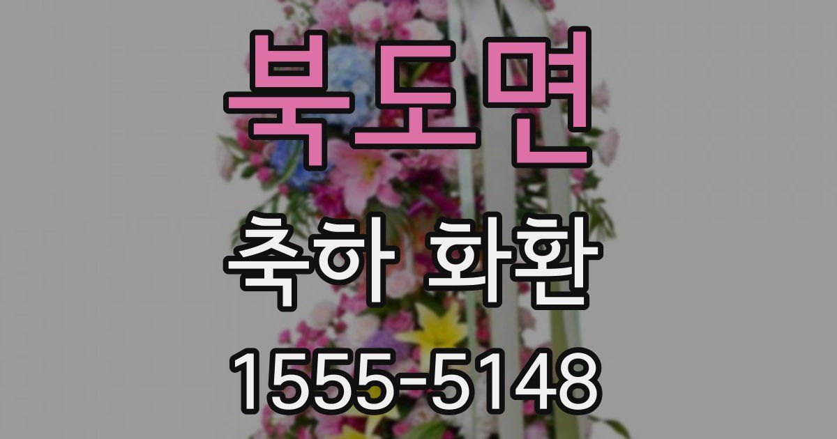 북도면 축하 화환