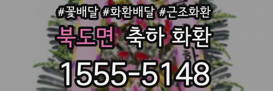 북도면 축하 화환