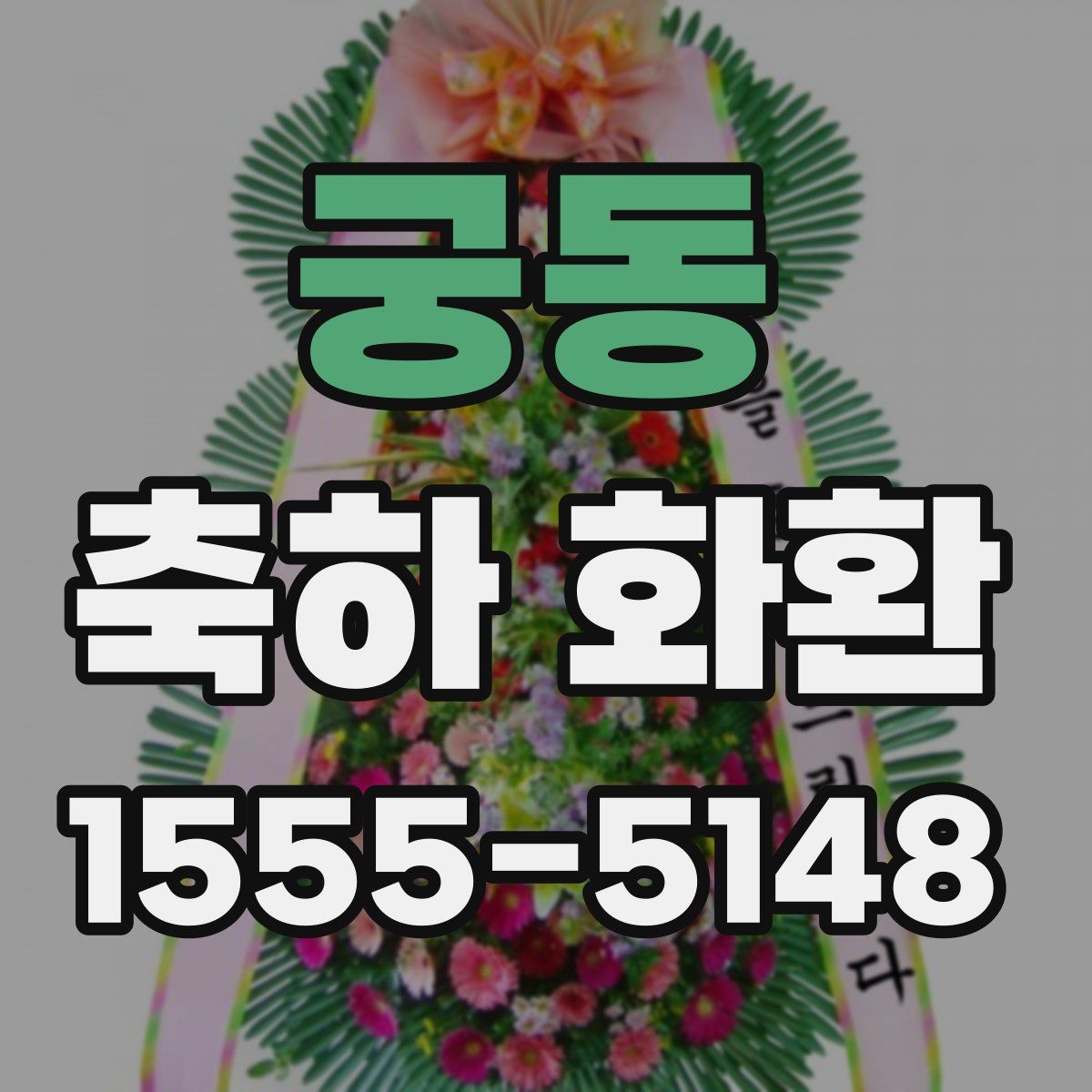 궁동 축하 화환