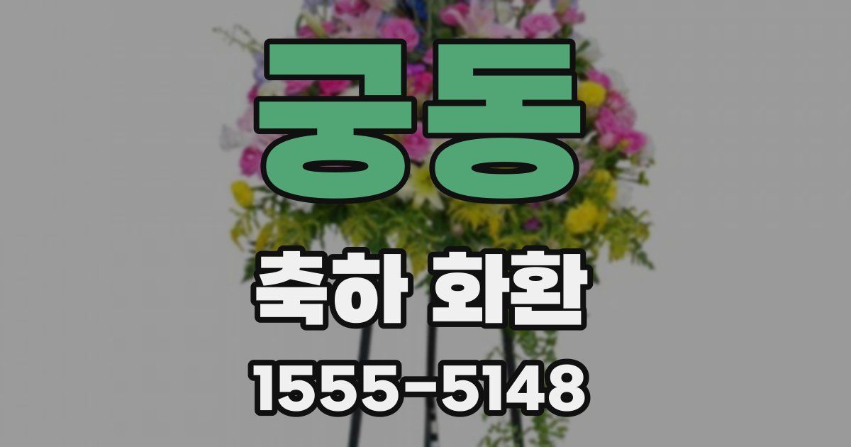 궁동 축하 화환