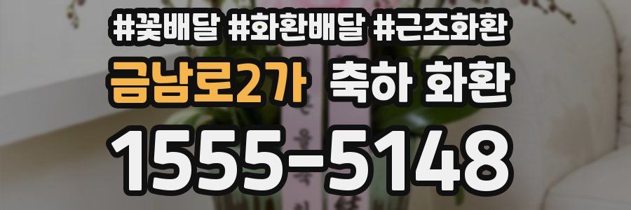 금남로2가 축하 화환