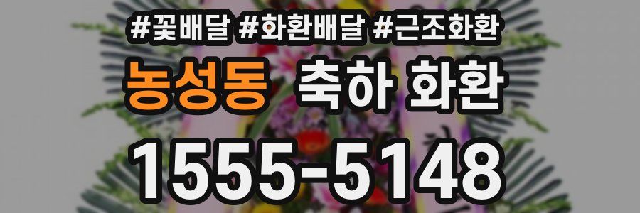 농성동 축하 화환