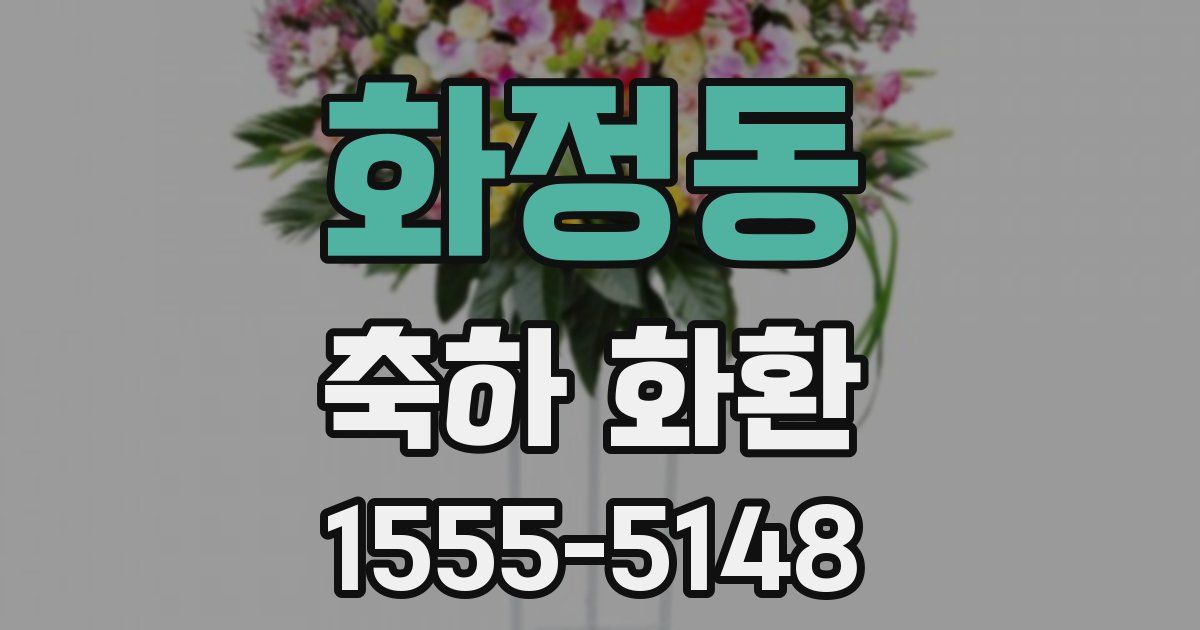 화정동 축하 화환