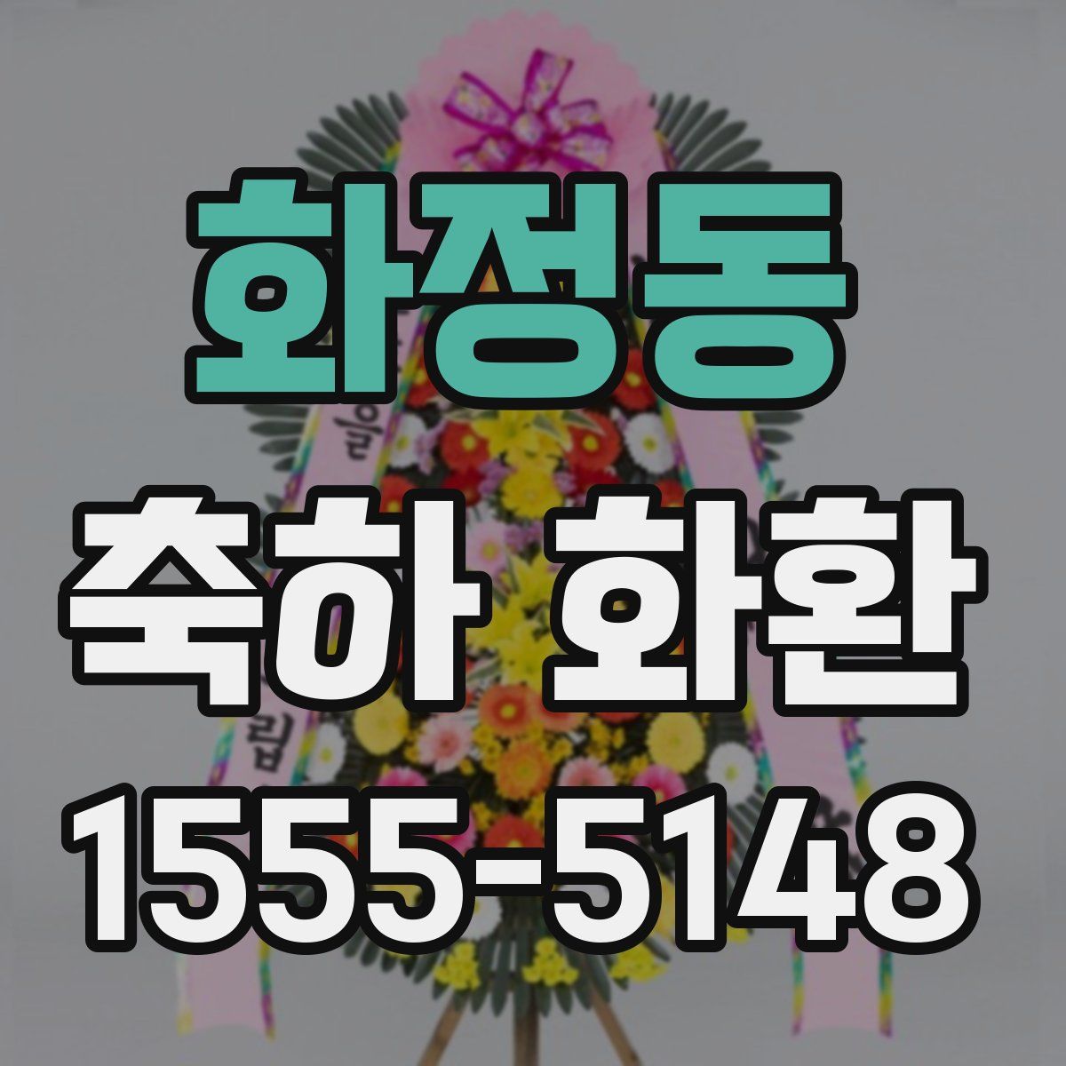 화정동 축하 화환