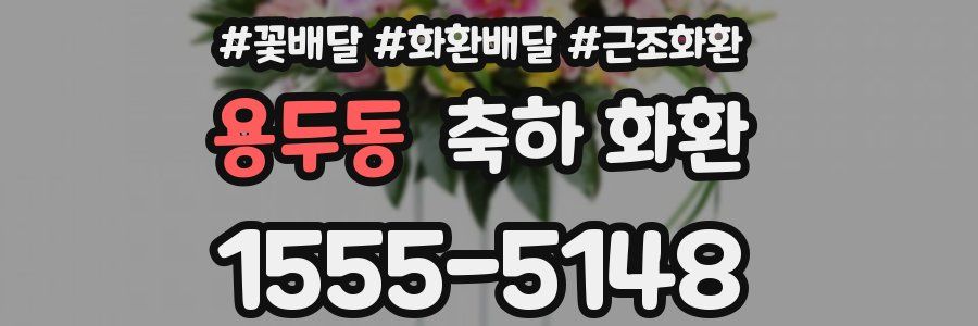 용두동 축하 화환