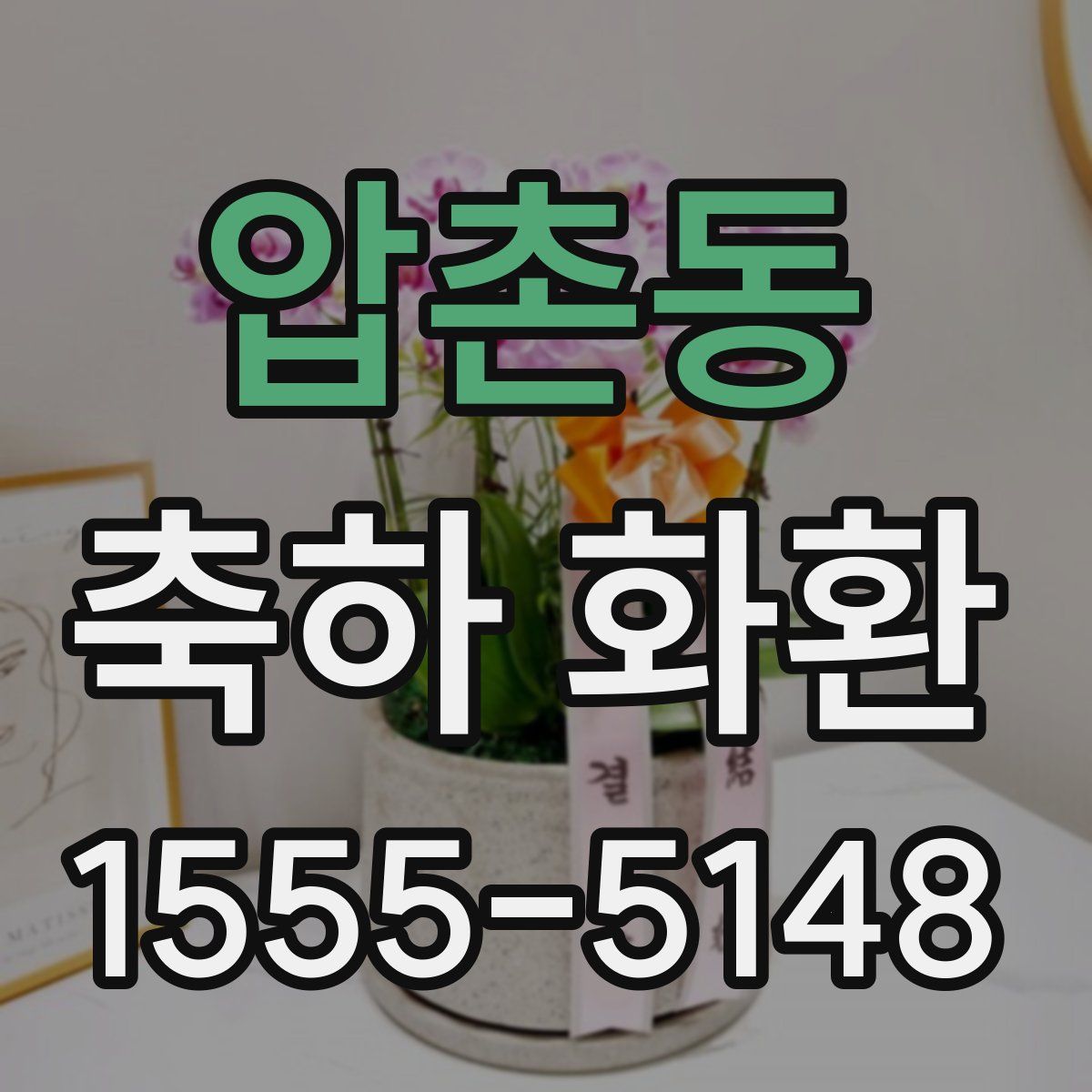 압촌동 축하 화환