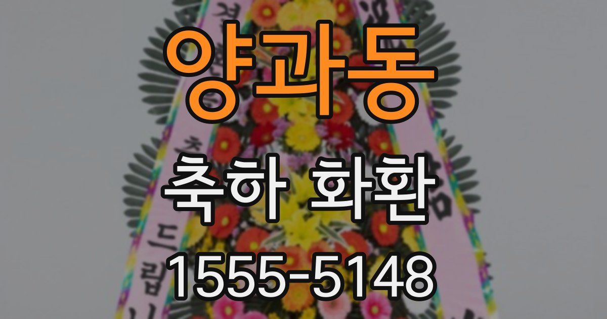 양과동 축하 화환
