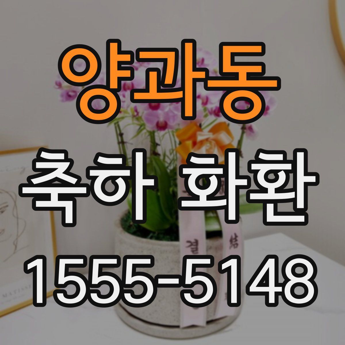 양과동 축하 화환