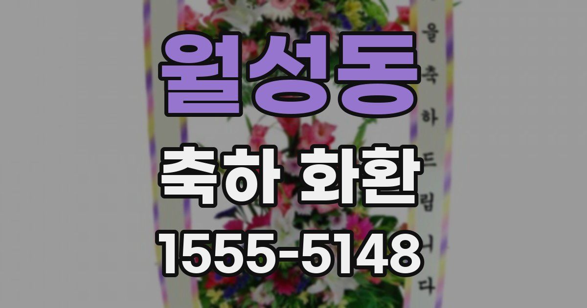 월성동 축하 화환