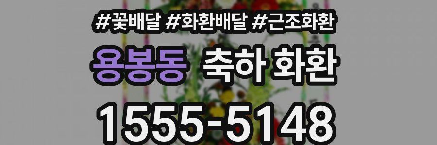 용봉동 축하 화환