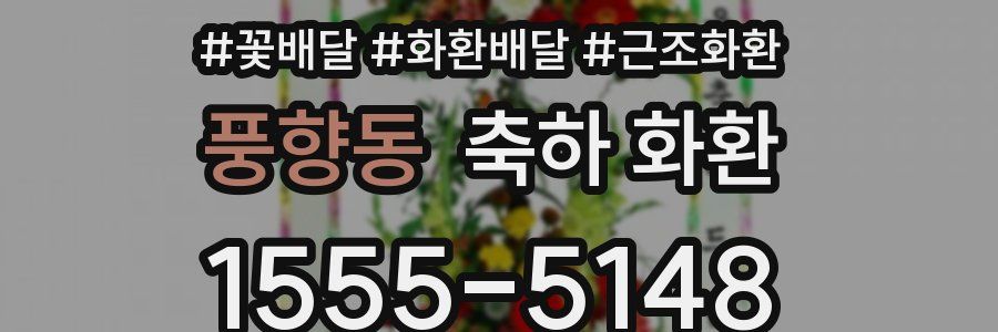 풍향동 축하 화환
