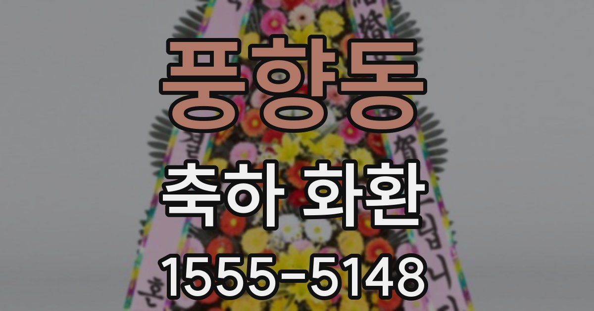 풍향동 축하 화환