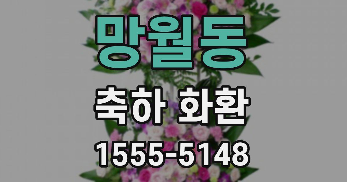 망월동 축하 화환