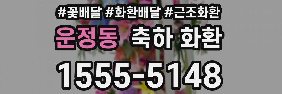 운정동 축하 화환