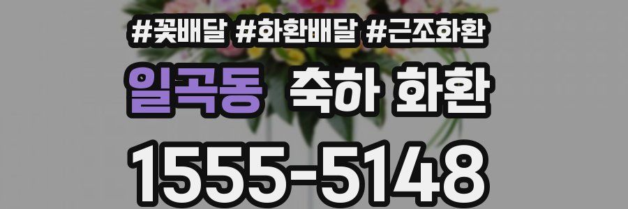 일곡동 축하 화환