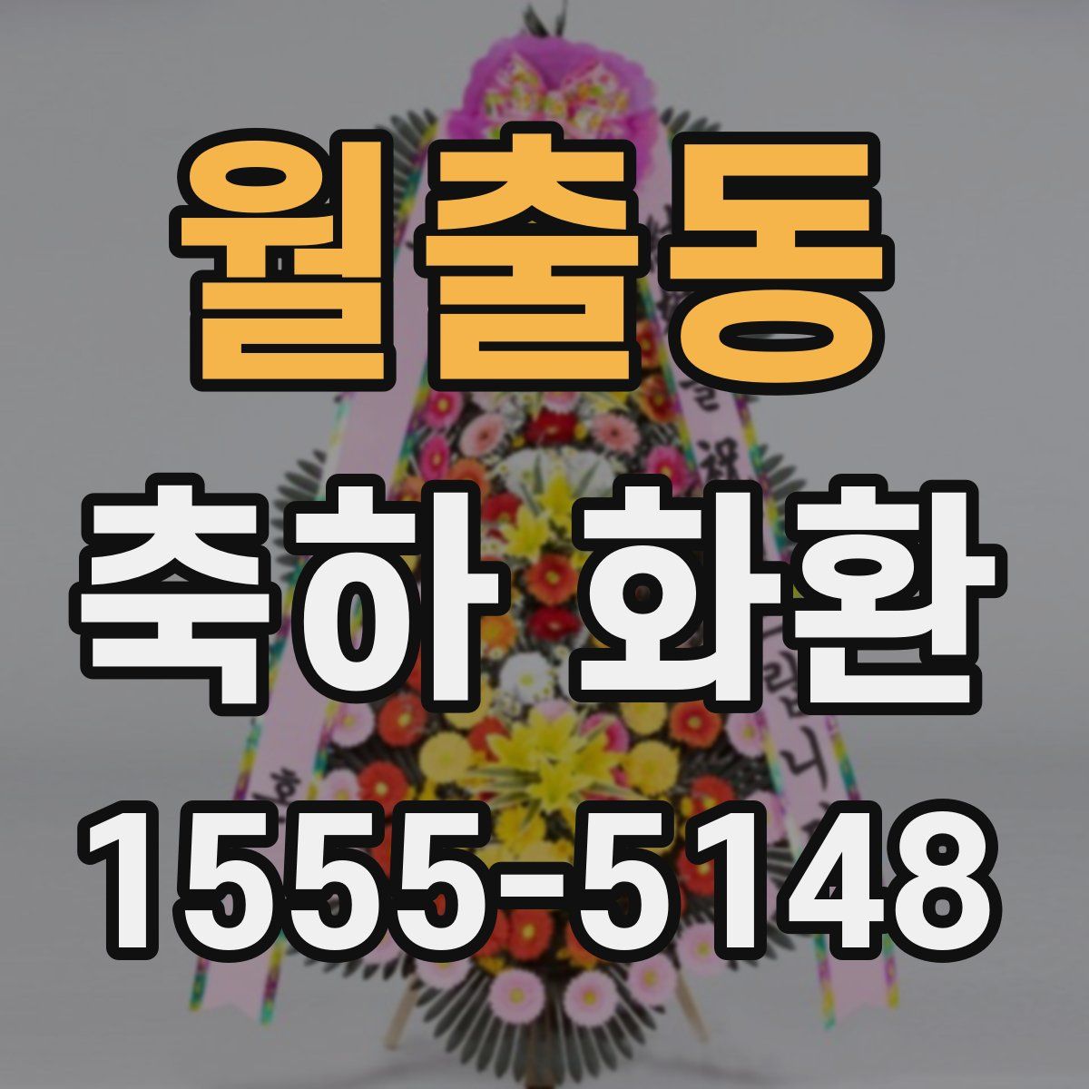 월출동 축하 화환
