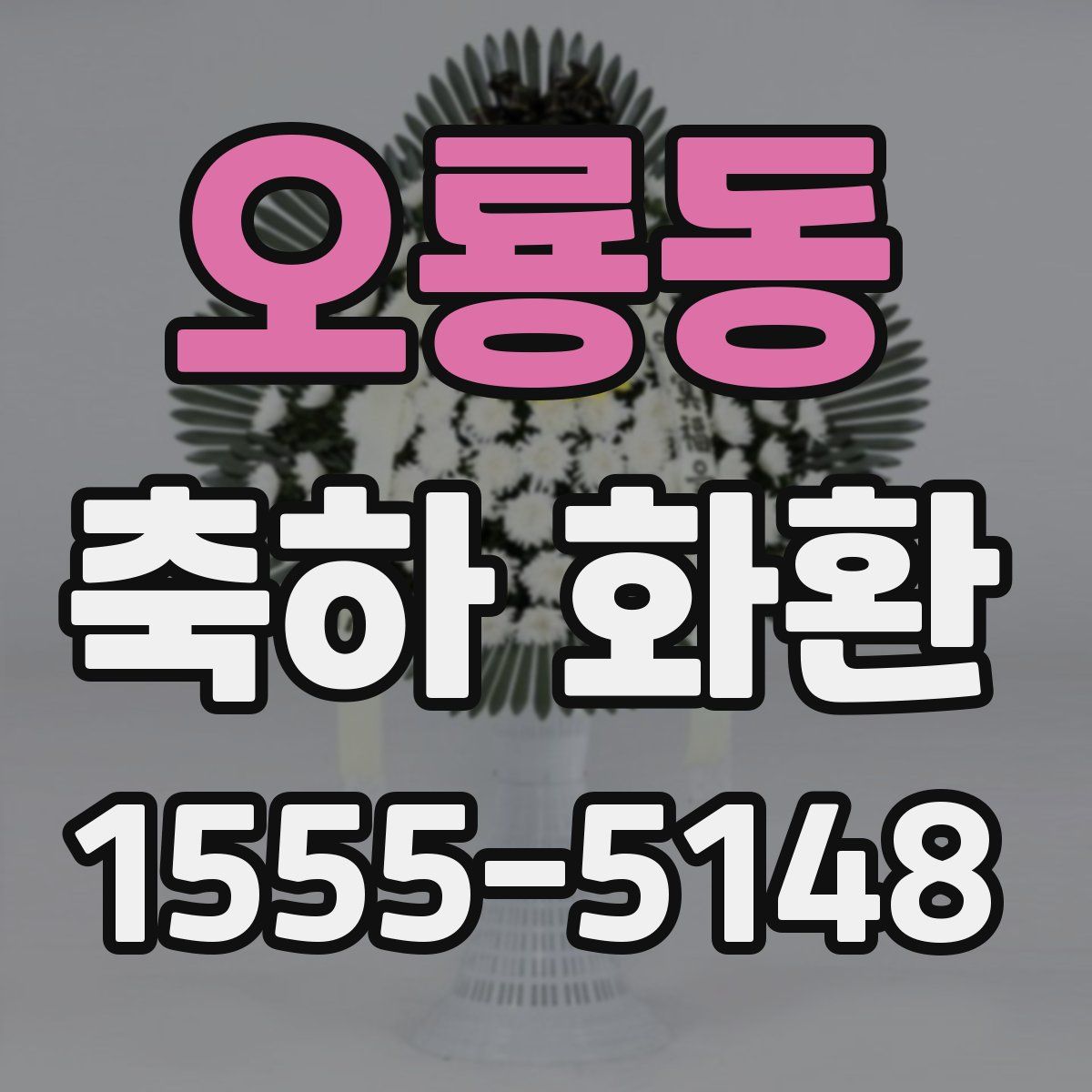 오룡동 축하 화환