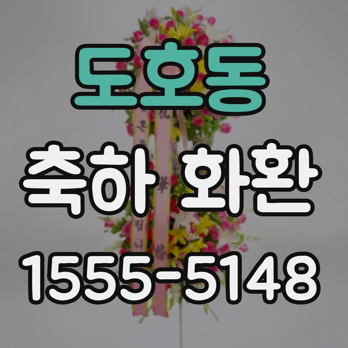 도호동 축하 화환