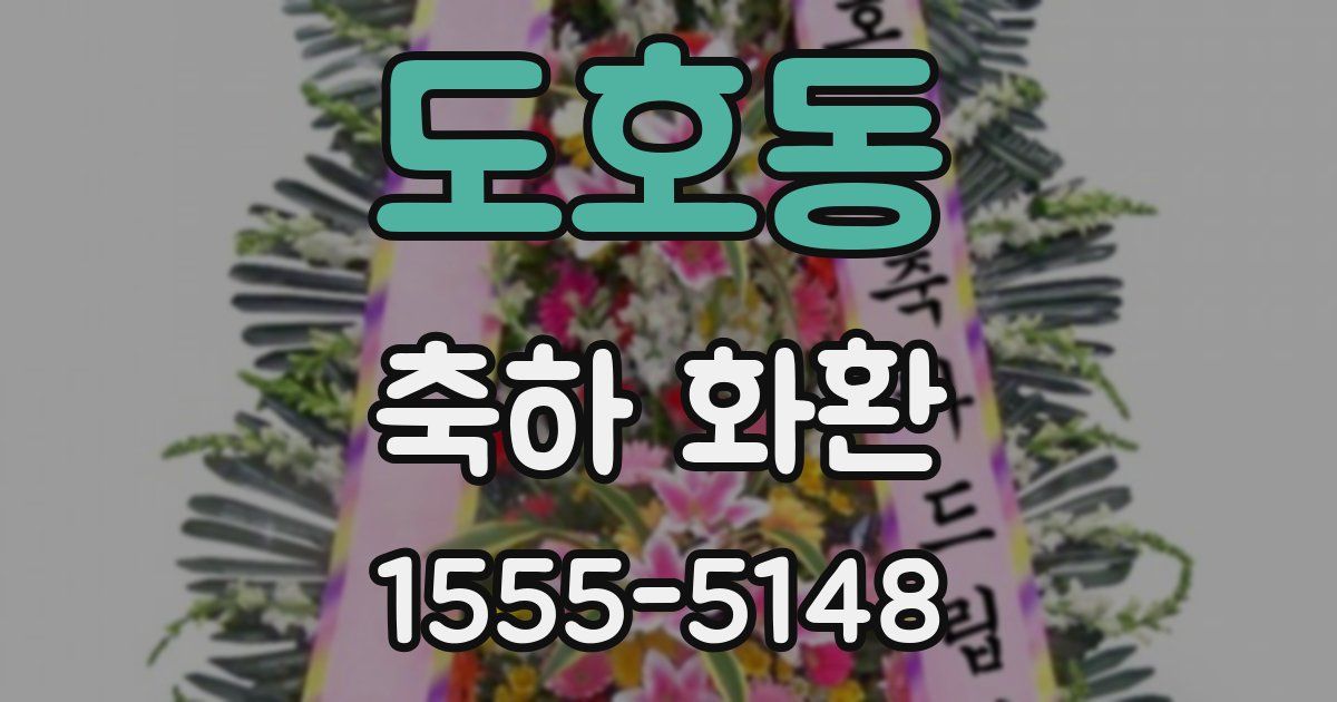 도호동 축하 화환