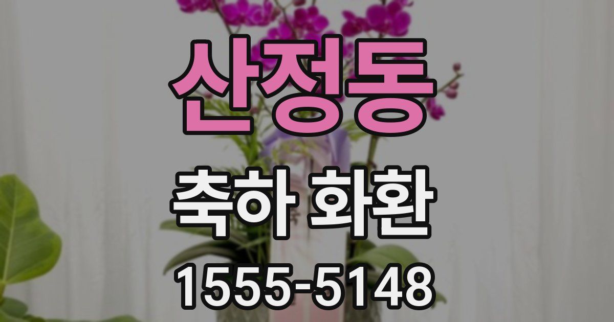 산정동 축하 화환