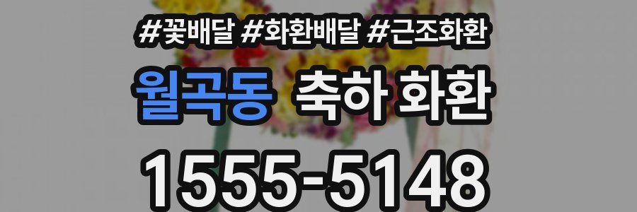 월곡동 축하 화환