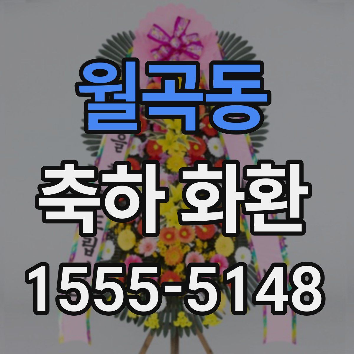 월곡동 축하 화환