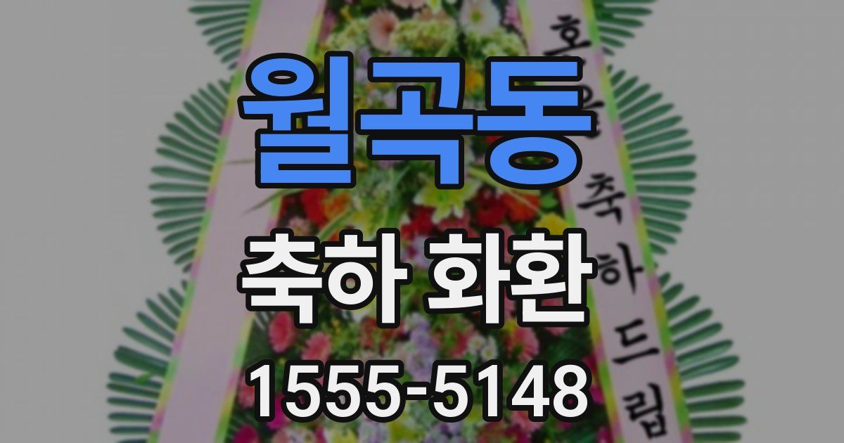 월곡동 축하 화환