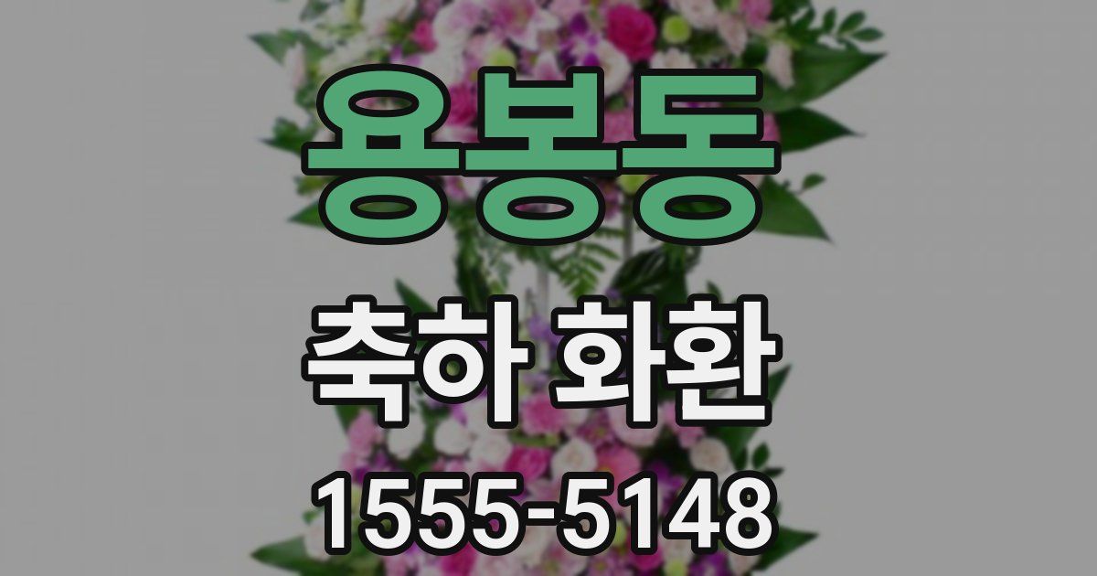 용봉동 축하 화환