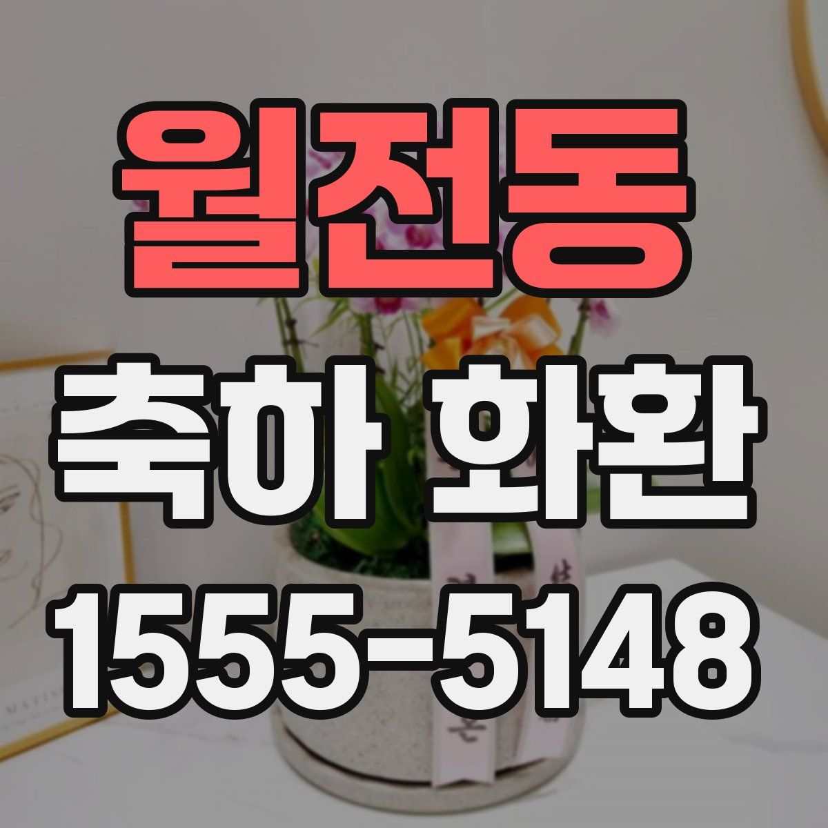 월전동 축하 화환
