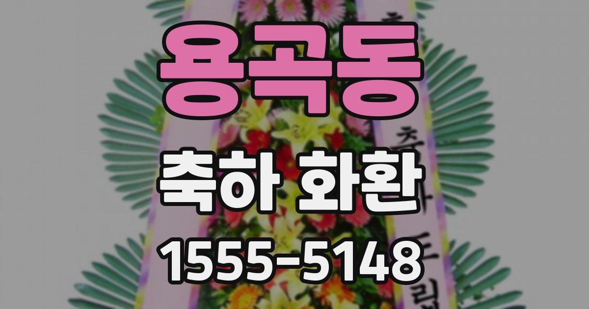 용곡동 축하 화환