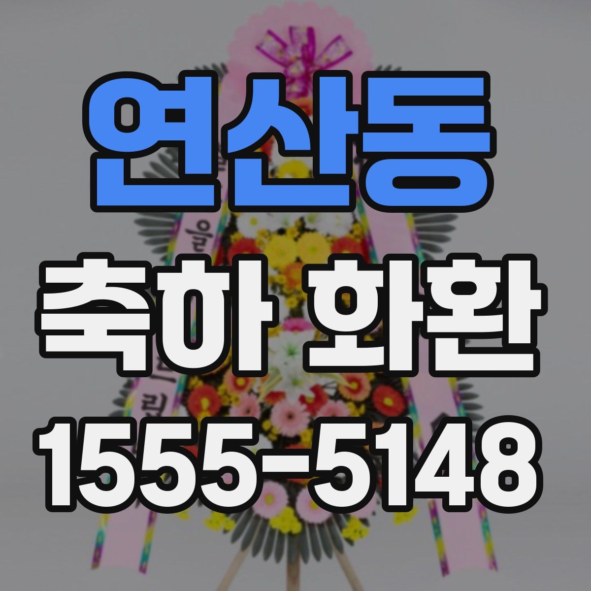 연산동 축하 화환