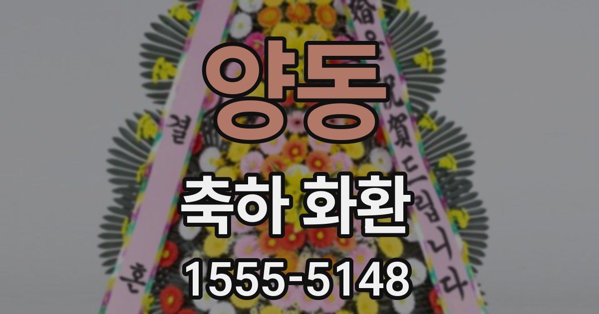 양동 축하 화환