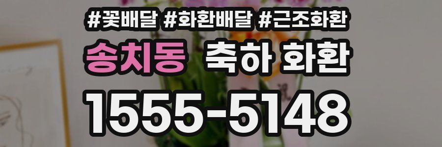송치동 축하 화환