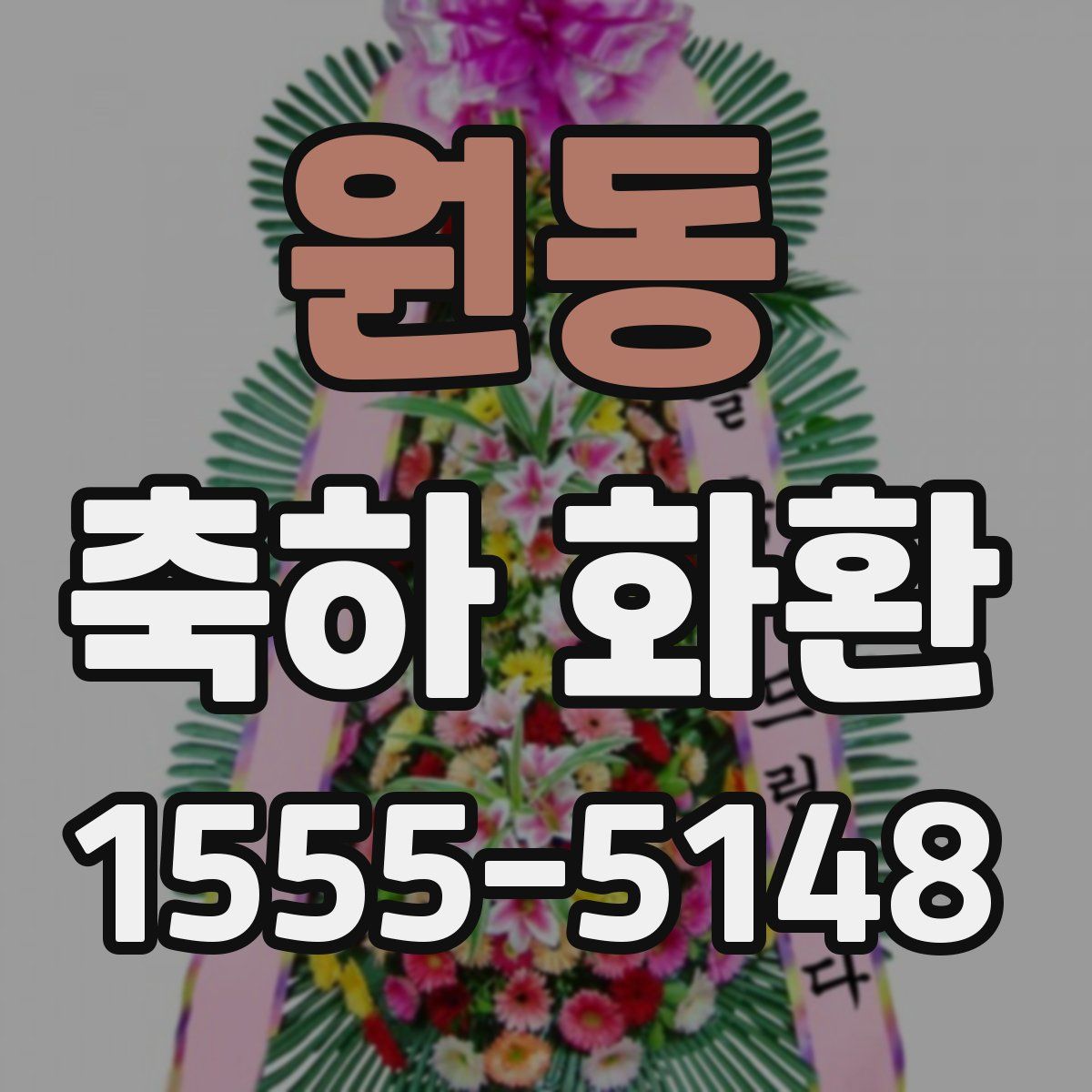 원동 축하 화환