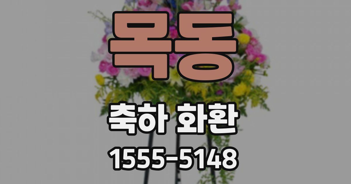 목동 축하 화환