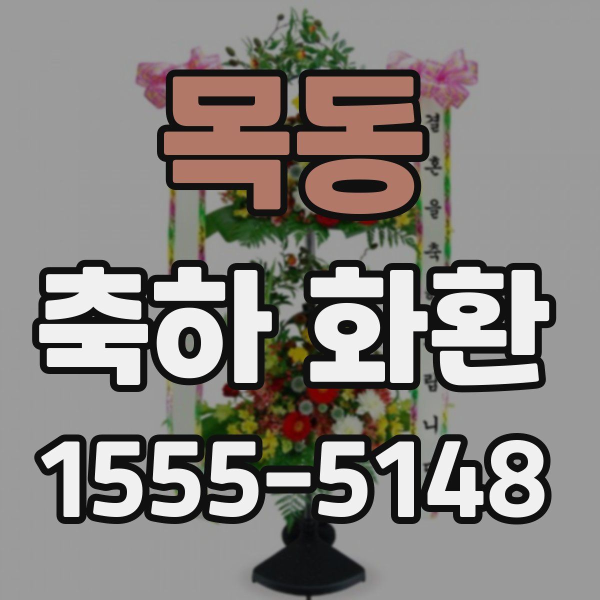 목동 축하 화환
