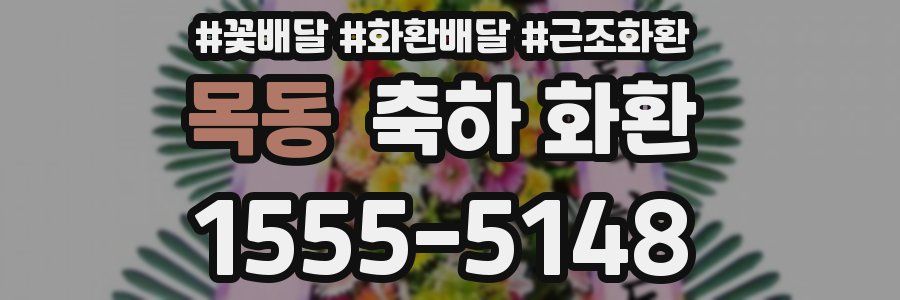 목동 축하 화환
