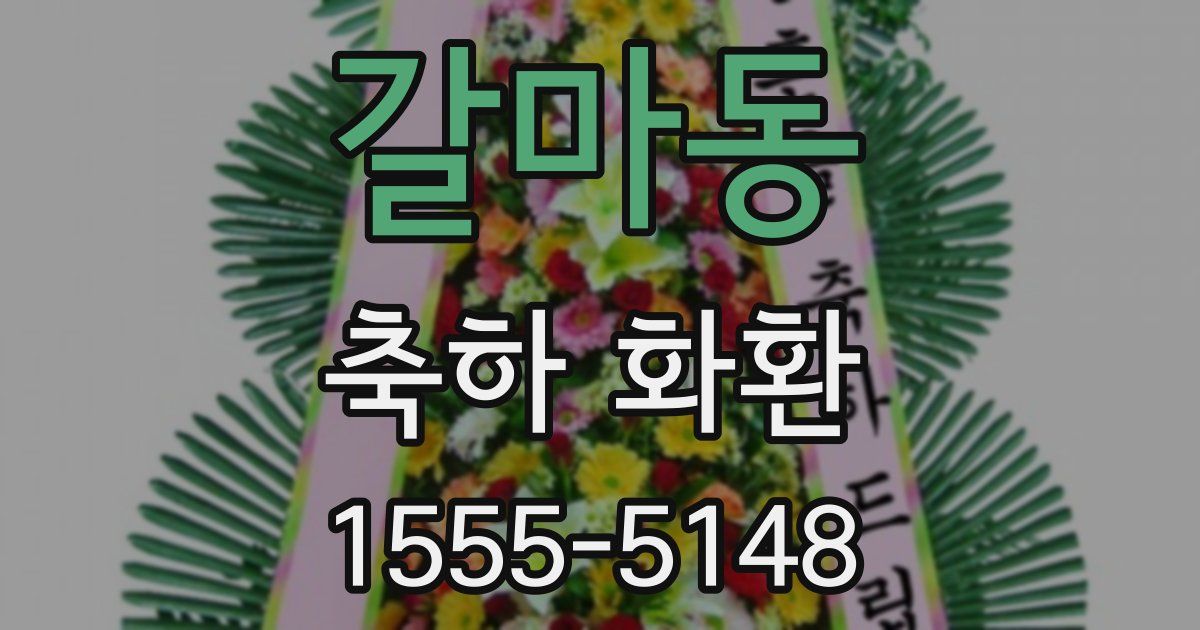 갈마동 축하 화환